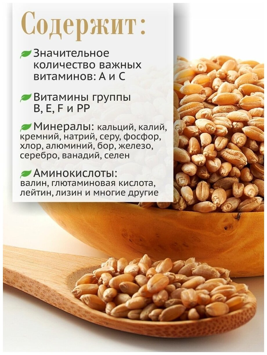 Пшеница алтайская зерно для каш и проращивания, 1 кг - фотография № 4