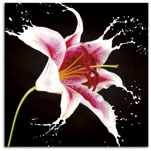 Панно декоративное PINTDECOR GRAPHIC COLLECTION GIGLIO ROSSO G1962 400x400