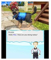 Игра для Nintendo 3DS Petz Countryside