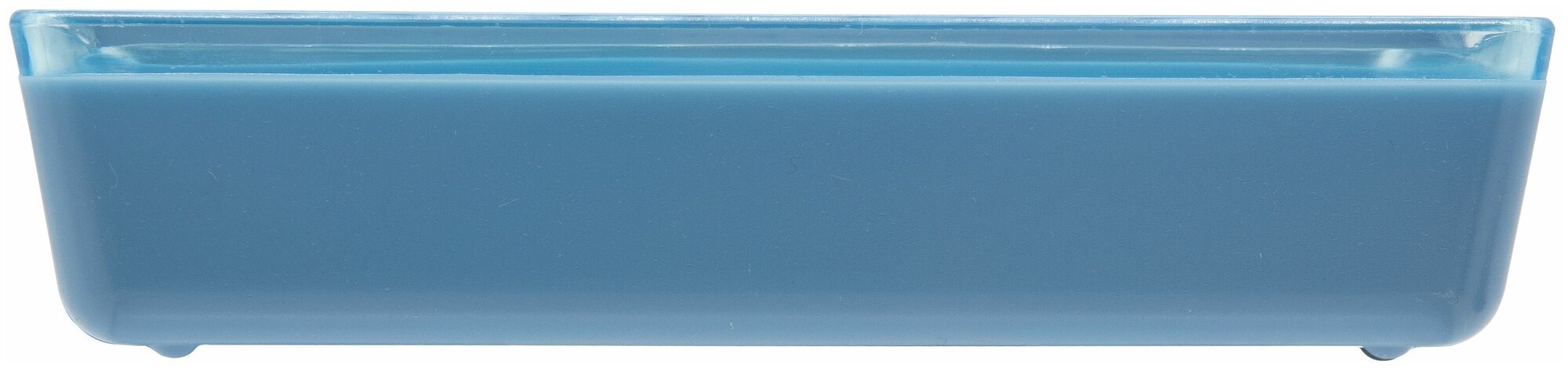 Мыльница Spacy пластик цвет васильковый/голубой - фотография № 4
