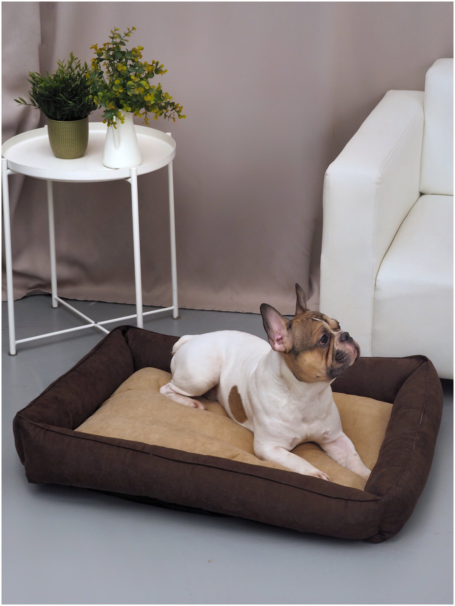 Мягкая лежанка диван для средних и для мелких пород собак со съемным чехлом 80х60 - фотография № 4