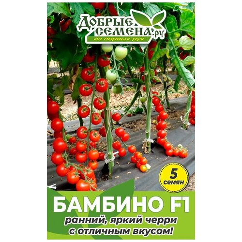 Семена томата Бамбино F1 - 5 шт - Добрые Семена. ру