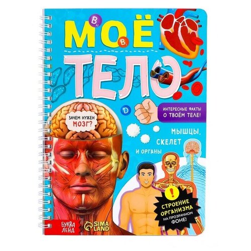 Книга с прозрачными страницами «Моё тело», 32 стр.