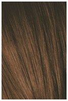 Мусс Schwarzkopf Professional IGORA EXPERT 5-5 Light Brown Gold, 100 мл