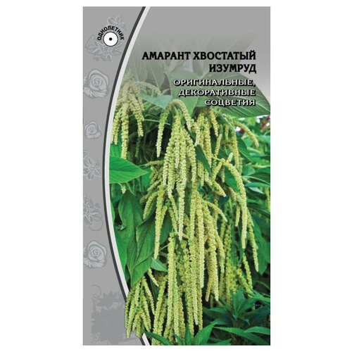 Семена Амарант Метельчатый Изумруд 0,1г для дачи, сада, огорода, теплицы / рассады в домашних условиях