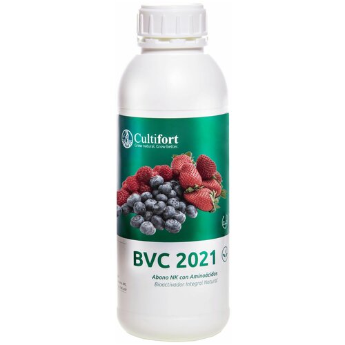BVC 2021 (бвс 2021)