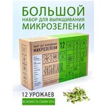 Набор для выращивания микрозелени 12 урожаев Plant Republic - изображение