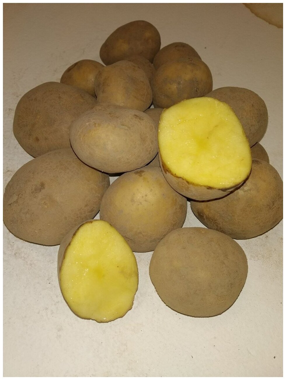 Картофель семенной винета клубни 1 кг - фотография № 2