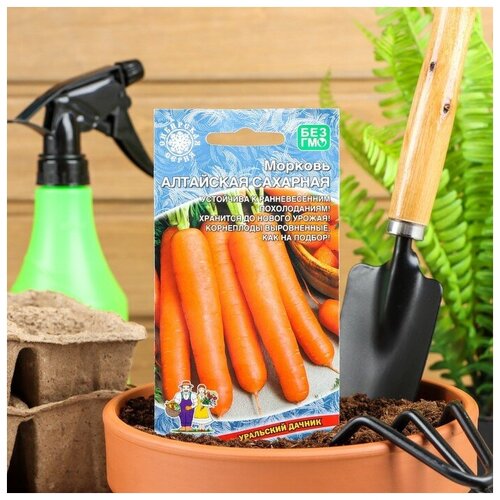 Семена Морковь Алтайская Сахарная позднеспелый, холодостойкий сорт для хранения 1,5 г 4 шт семена морковь алтайская сахарная б п 1500 шт