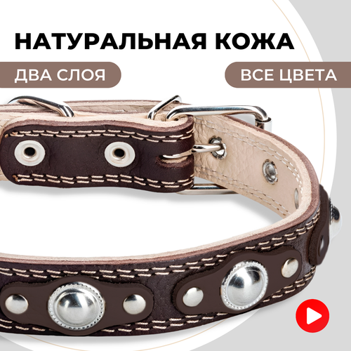 Ошейник кожаный для собак мелких и средних пород, двухслойный