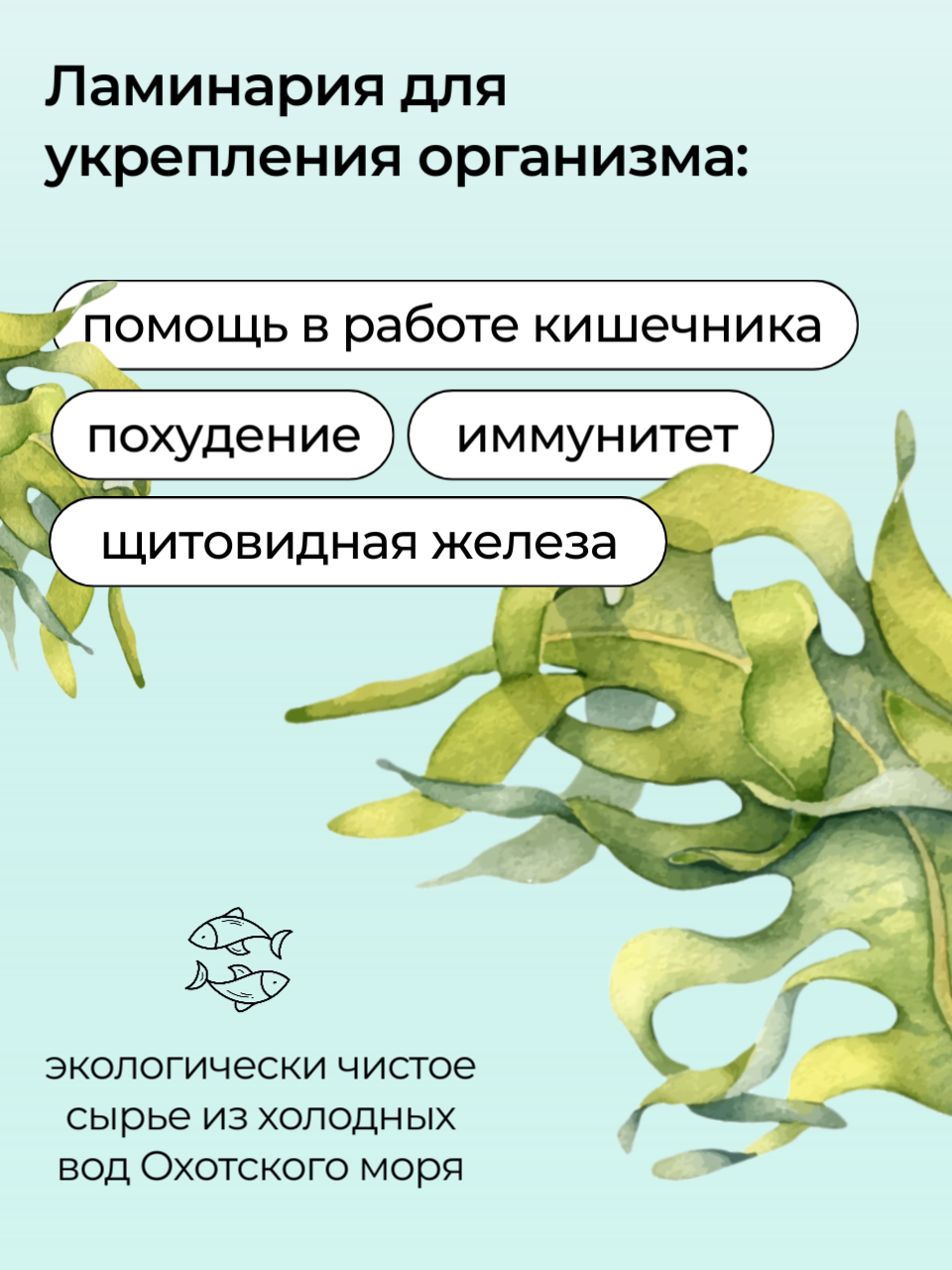 Картинки Водоросли Ламинария (Йод природный, Иммуномодулятор, для Детокса), 90 капсул по 450 мг - "Русские Корни"