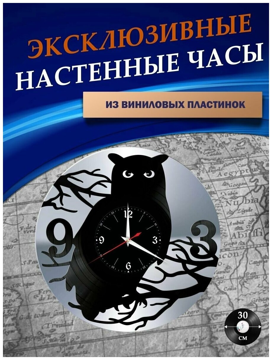 Часы настенные из Виниловых пластинок - Совы (серебристая подложка)