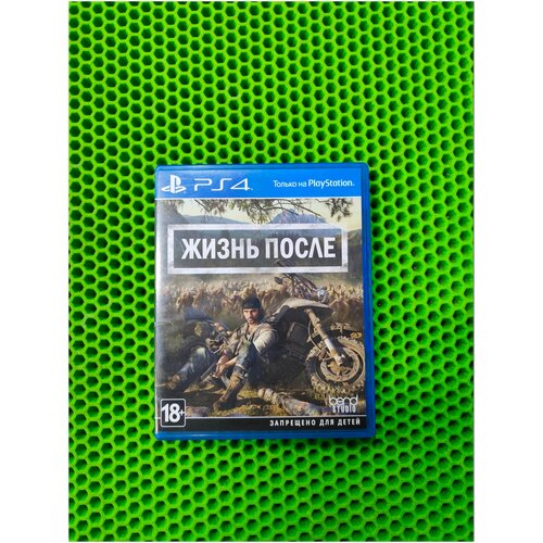 Игра Days Gone (Жизнь после) для Playstation 4 по волчьим законам dvd