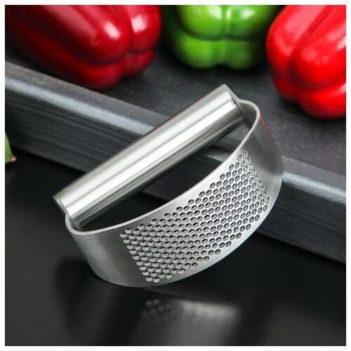 Пресс для чеснока Доляна Steel 105 см цвет серебряный 656₽