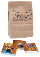 Шоколад CHOKOCAT FunCat 