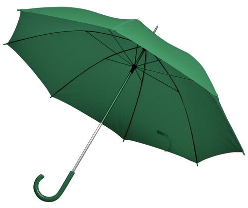 Зонт автомат, для женщин, зеленый
