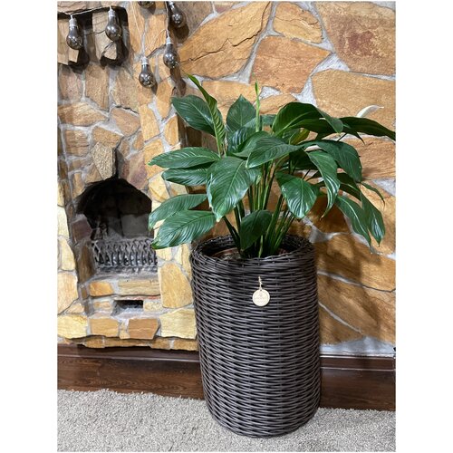 Кашпо из ротанга