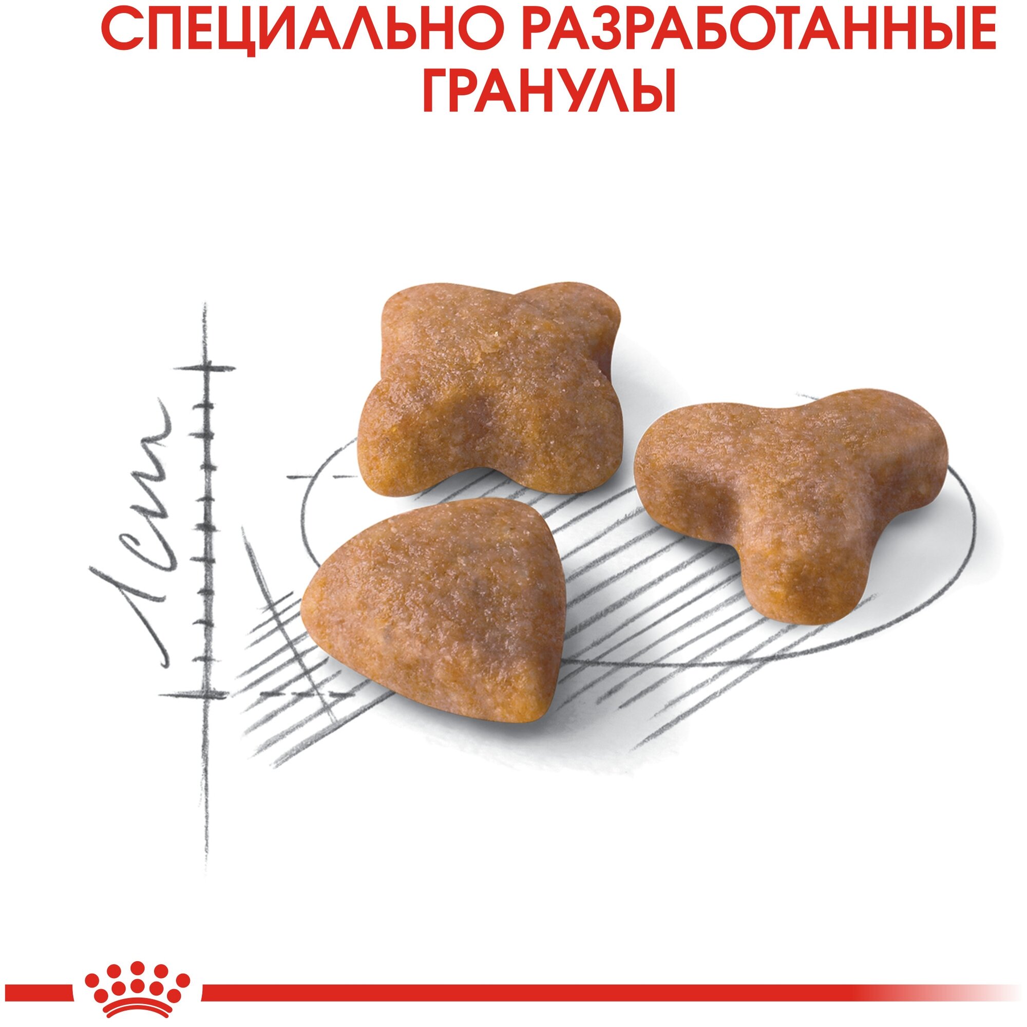 Royal Canin Sensible 33 Корм сухой сбалансированный для взрослых кошек с чувствительной пищеварительной системой, 2 кг - фотография № 5