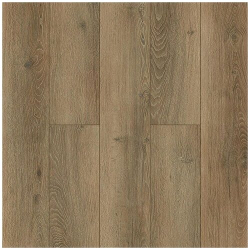 Alpine Floor Premium XL Дуб Эниф ECO 7-31