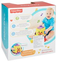 Сортер Fisher-Price Волшебный горшочек