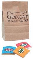 Шоколад CHOKOCAT FunCat 