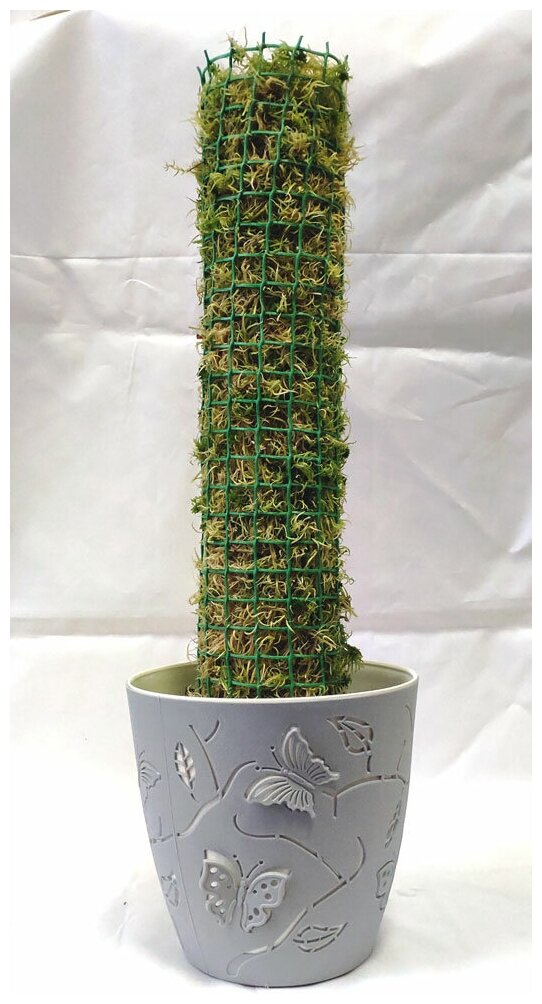 Сопутствующие Self Тотем опора для ароидных растений (Высота 05м)