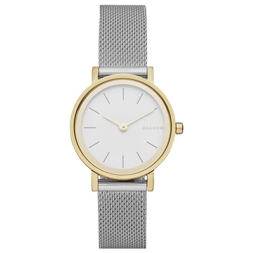 Наручные часы Skagen SKW2445