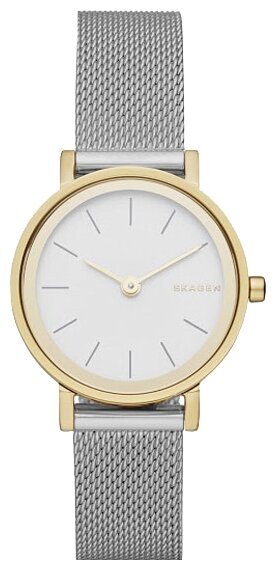 Наручные часы Skagen SKW2445