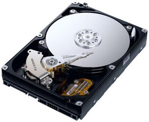 Hdd 320 Gb Для Ноутбука Цена