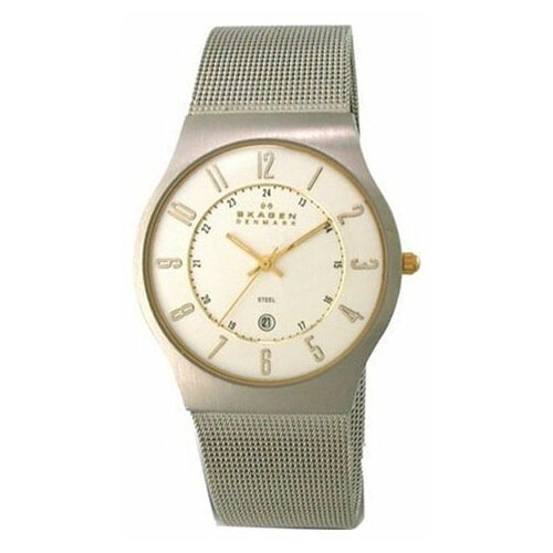 Наручные часы Skagen 233XLSGS