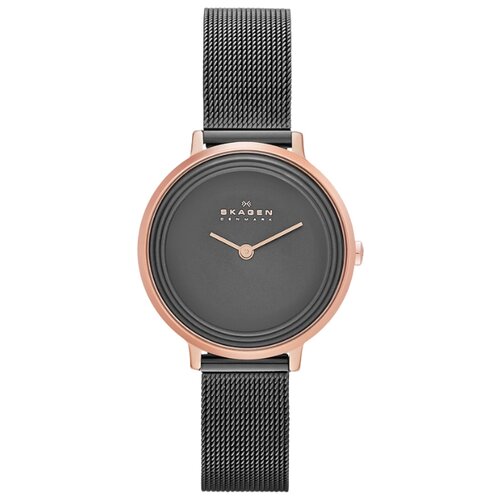 фото Наручные часы SKAGEN SKW2277