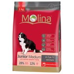 Корм для собак Molina Junior Medium - изображение