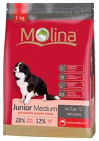 Корм для собак Molina Junior Medium (7.5 кг)