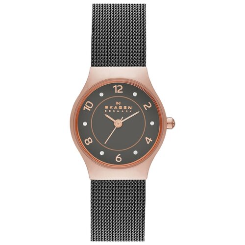 фото Наручные часы skagen skw2270