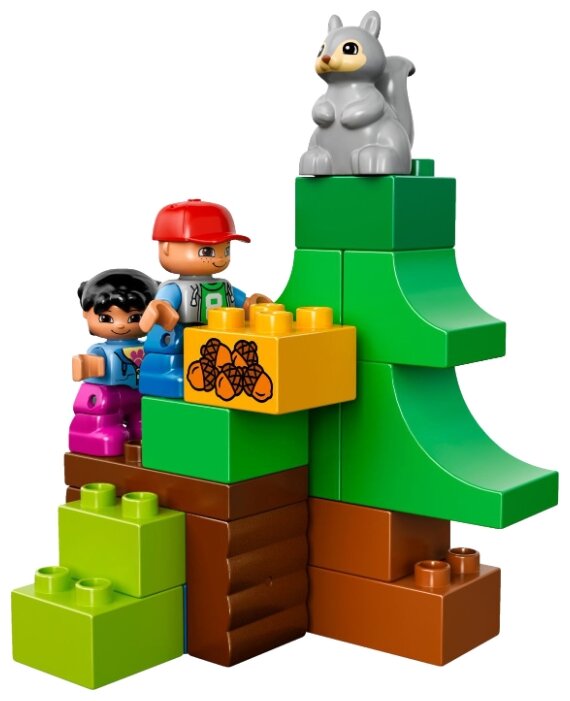 duplo 66538