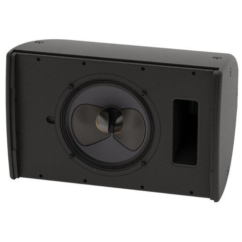 MARTIN AUDIO CDD10