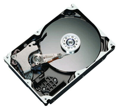 Для домашних ПК Maxtor Жесткий диск Maxtor STM3160812AS 160Gb SATAII 3,5