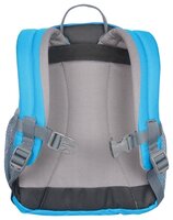 Рюкзак deuter Pico 5 pink/red (plum/coral)