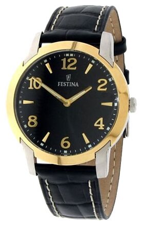 Наручные часы Festina F16508/3