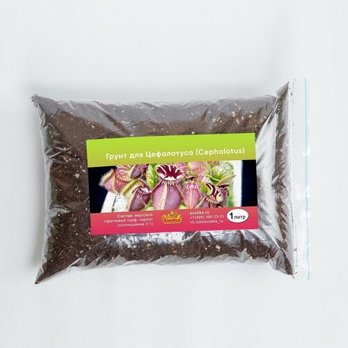 Грунт для цефалотуса