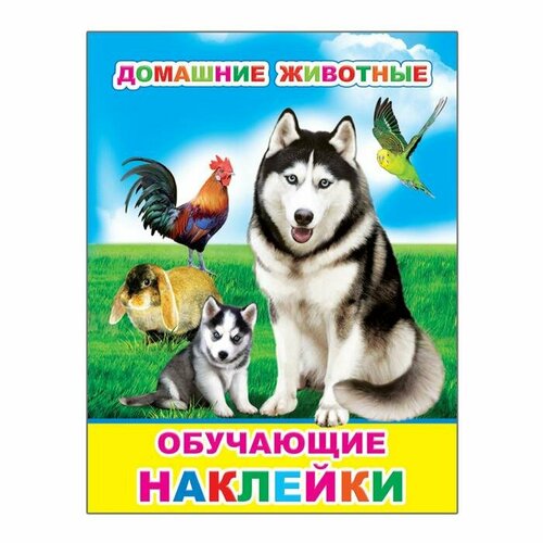 Книжки с наклейками Алфея Домашние животные, 0+