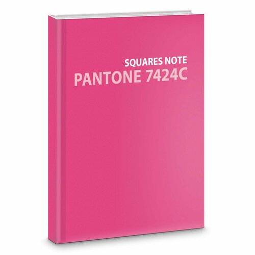 Евротетрадь Pantone line. No.4, А6+, 80 листов, клетка евротетрадь listoff panton line no 7 80 листов в точку а6