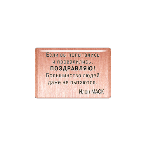 Магнит «Если вы попытались и провалились, поздравляю! Большинство людей даже не пытаются». Илон Маск