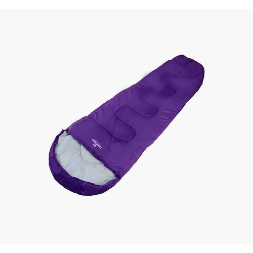 Спальный мешок Calviano Acamper BERGEN 300гм2 336400₽