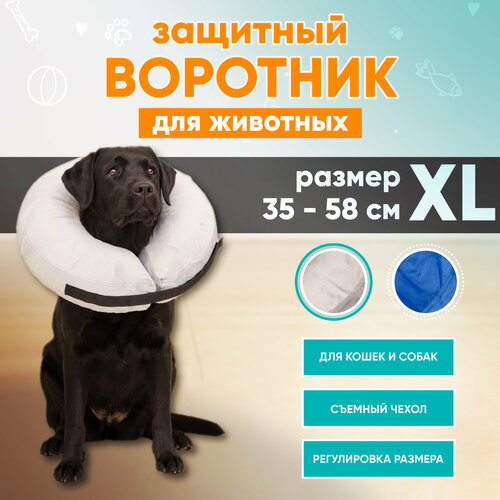 Защитный ветеринарный воротник для собак и кошек Mr Dog, XL