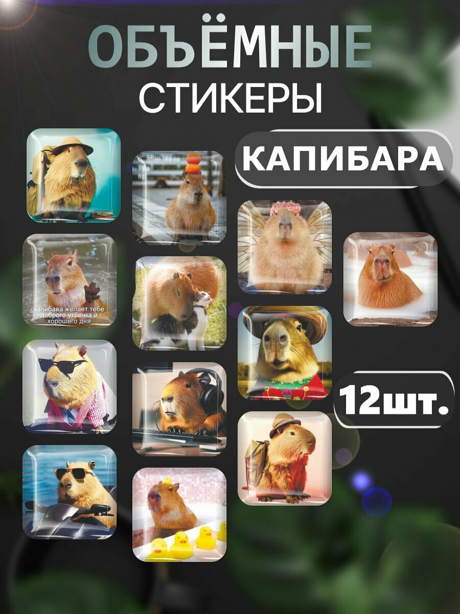 3D стикеры Капибары