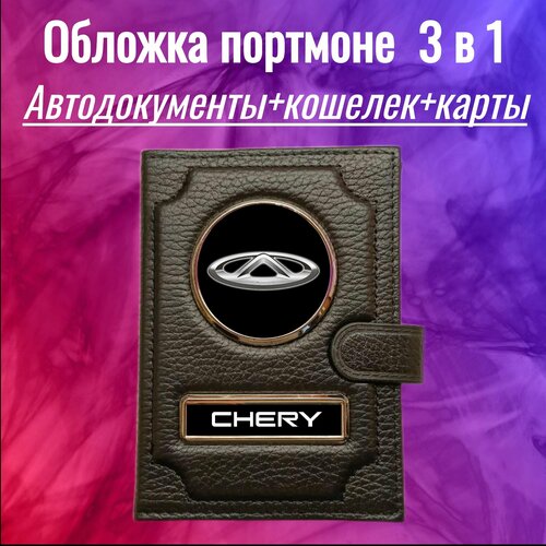 фото Документница для автодокументов , черный chery