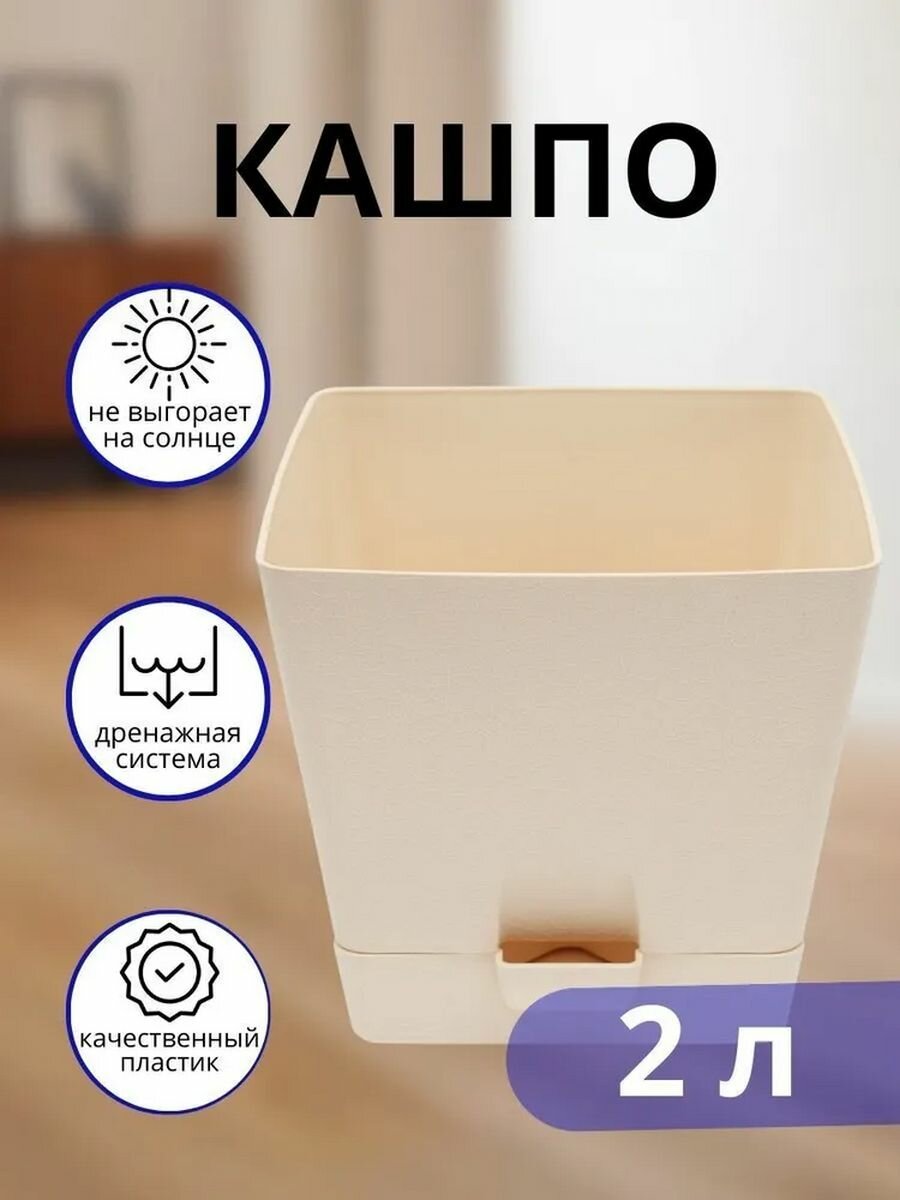 фото Кашпо Азалия квадратное 2 л, персиковый