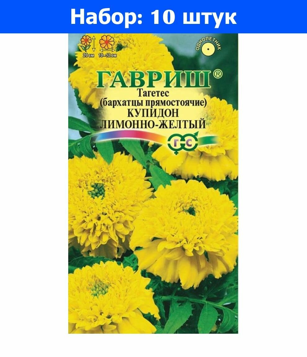 Бархатцы пр. Купидон лимонно-желтый 005г 20см (Гавриш) - 10 пачек семян