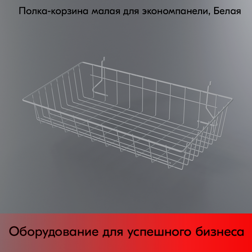 Изображение товара Полка-корзина для экономпанели малая 80x600x280 мм, RAL9003 Белый